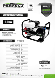 Stalco Perfect Power Tools - agregat prądotw&oacute;rczy